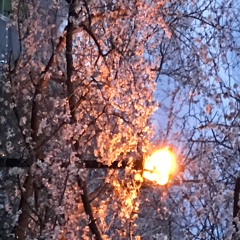 Questions For The King Of Pop