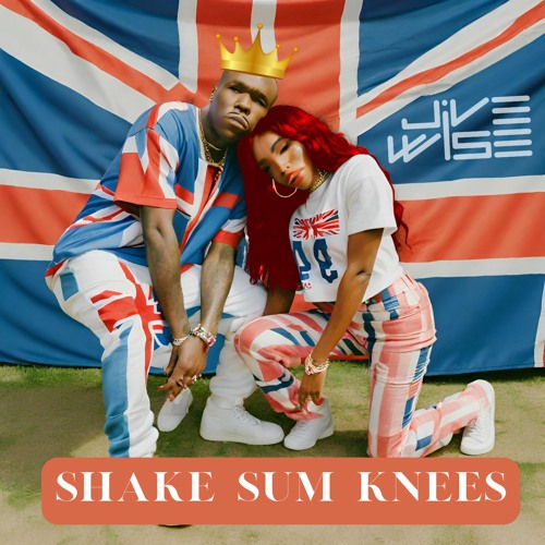 DaBaby, Sexyy Red - Shake Sum Knees (Jive Wise Flip)