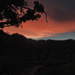 Kunyanyi Haleluya - Symphony Worship ( Cover )