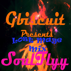 Gbiscuit's SoulFlyy (ALBUM MIX by LOST MAGE)