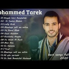 Best songs of Mohammed Tarek playlist