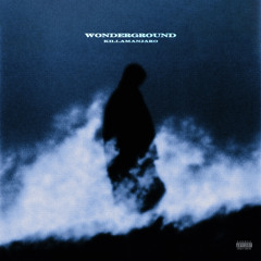 Killamanjaro - Wonderground