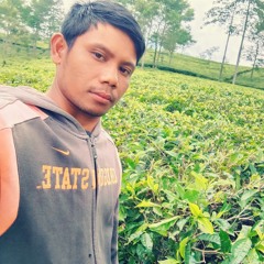 THE_MUPPET_FULL_ALBUM.m4a