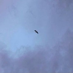 There's Some Things I Dont Need To Know