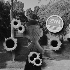 Zyn Flow 2 w/ TrapRichV