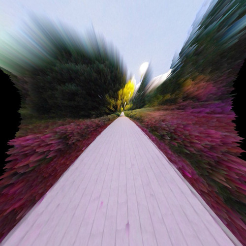 Dangerous simulation