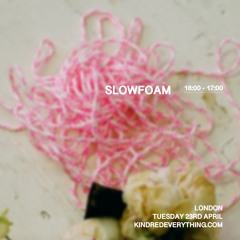 SLOWFOAM 23.4.24