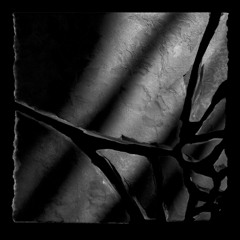 RÜFÜS DU SOL - Lately (Levin Leøn Remix)