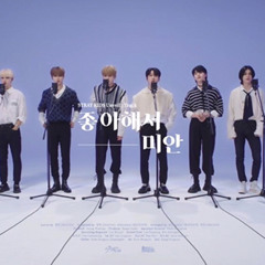Preview Stray Kids 좋아해서 미안 Sorry, I love you