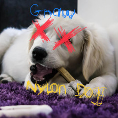 Gnaw — 4.18.24 [NYLON DOGG]