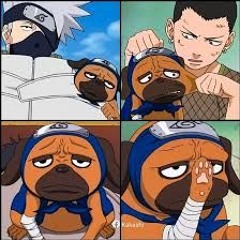 ƜЄ'ƦЄ ƓԼƠƦƖƠƲƧ (𝚏𝚊𝚢𝚎𝚝)