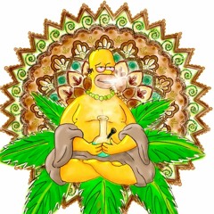 Homer on Acid
