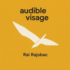 Visage III – Desarmação Pulsante - Armação da Piedade