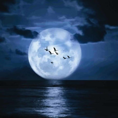 مقتل القمر- أمل دنقل