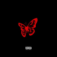 Lotta Red- Playboi Carti