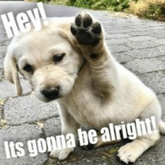 No Copyright Music by Your Content Music