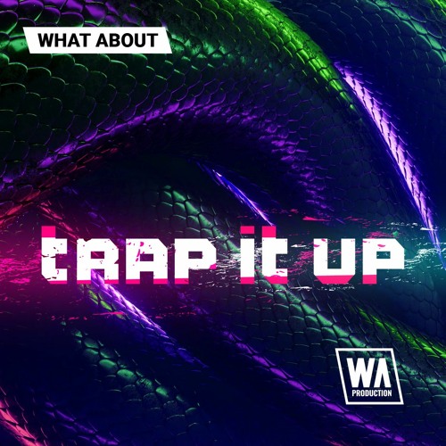 Trap It Up | Melody Loops, Drums, Presets & Vocal Shouts