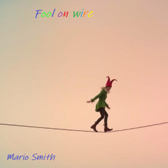 fool on a wire