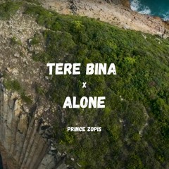 Tere Bina x alone Prince Zopis