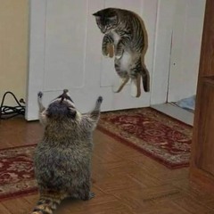 ur ratio is all fucked up