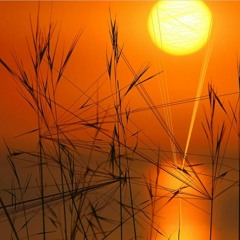 Soul Of The Earth - Toolshed Soundlab w/ Samara Jade