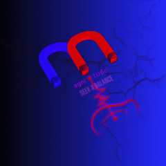 Magnitu6e - Seek a balance