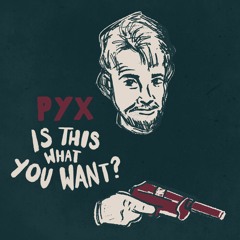 Is This What You Want?