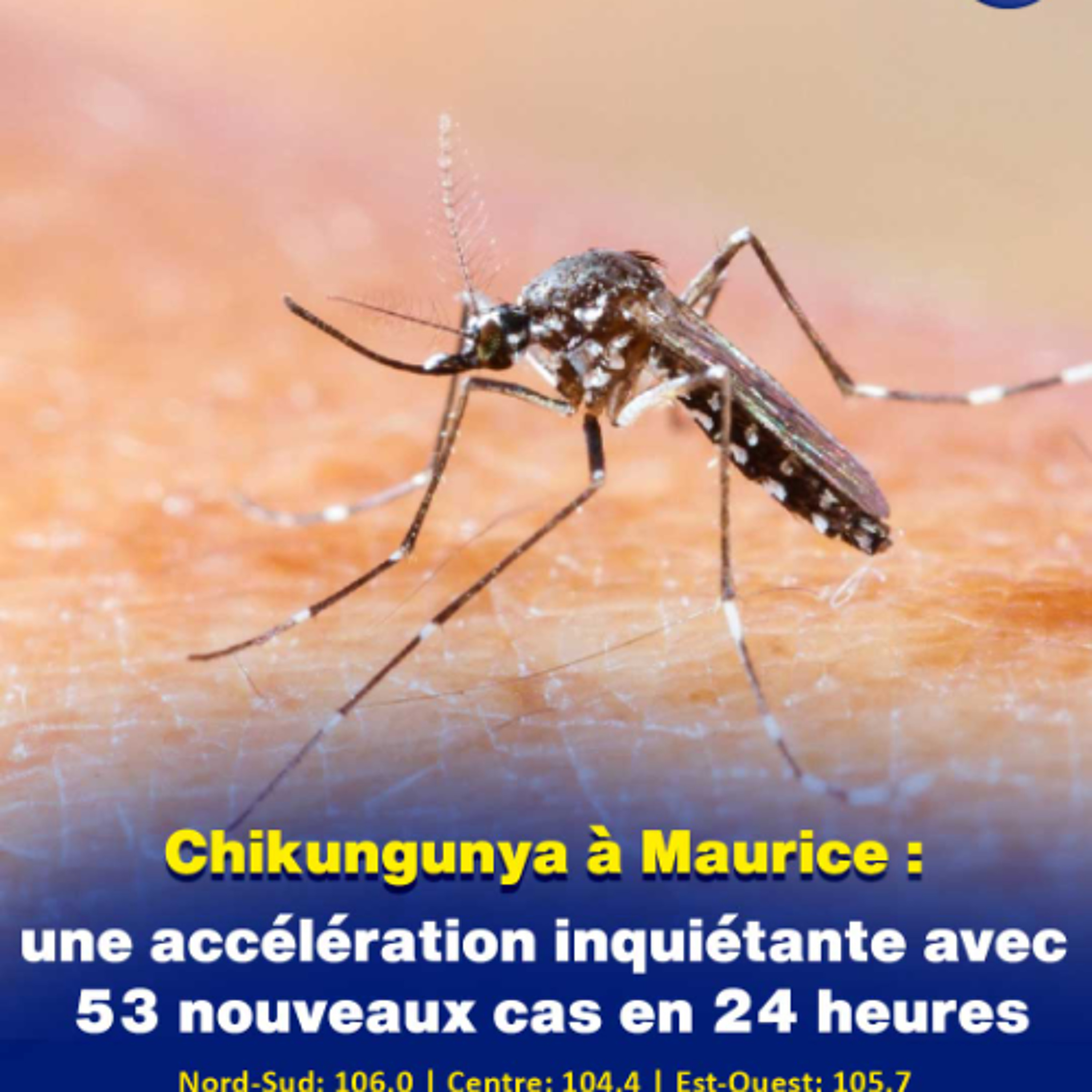 Chikungunya à Maurice : une accélération inquiétante avec 53 nouveaux cas en 24 heures episode artwork