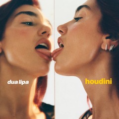 Dua Lipa - Houdini (Third Vibes Remix)