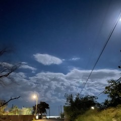 TRAPPED IN THE SPACE ASYLUM P.210MAX