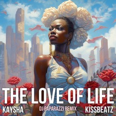 The Love Of Life (DJ Paparazzi Remix)