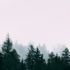 exoførm - revival