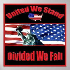 Divided We Fall
