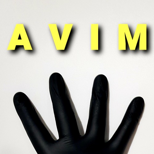 Adventure of Sound with A V I M
