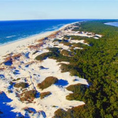 Best Things To Do In Cape San Blas Florida Tours Reviews