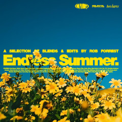 Endless Summer Vol. II - MASHUPS & EDITS - HIP-HOP/RNB/AFROBEATS/DANCEHALL