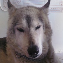 Il Jouer Du Piano Debout feat Supermakul