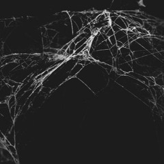 Cobwebs