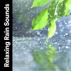 I Hear You in the Rain
