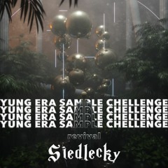 SAMPLE CHALLENGE ENTRIES