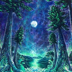 Nadis Alkali- Magic Forest