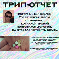 трип-отчет.mp3