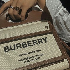 Burberry Bag