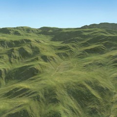 The Hill