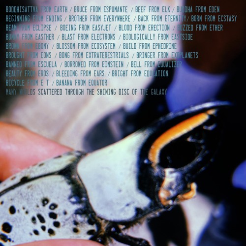 PREMIERE: B From E - Kyo [Buddahood]