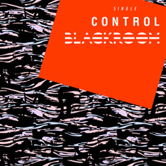 Control (Single Edit)