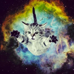 IMA SPACECAT FREESTYLE