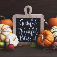 Gratitude Journal 11.17.25