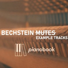 Bechstein Mutes: Track 003