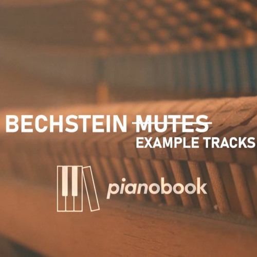 Bechstein Mutes: Track 003